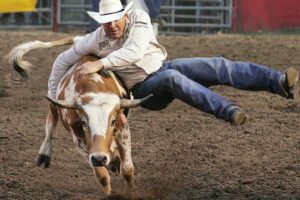 rodeo